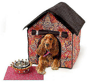 This (New) Home: Sweet Home