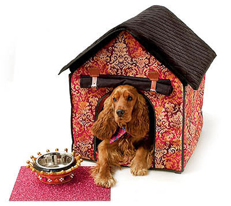 This (New) Home: Sweet Home