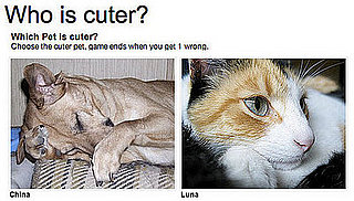 Keep Playing "Which Pet Is Cuter?" For Money!