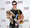 How Much Does It Cost to Carry a Pet in a Real Ostrich Bag?