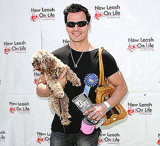 How Much Does It Cost to Carry a Pet in a Real Ostrich Bag?