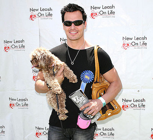 How Much Does It Cost to Carry a Pet in a Real Ostrich Bag?