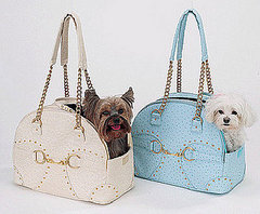 Trend Setters: Faux Ostrich For Furballs Trend Setters: Faux Ostrich For Furballs
