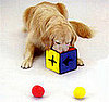 Pampered Pals: Puzzle Toys For Persistent Pups