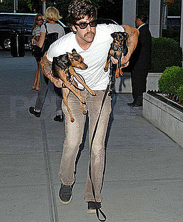 New Puppy Alert! Adam Goldberg