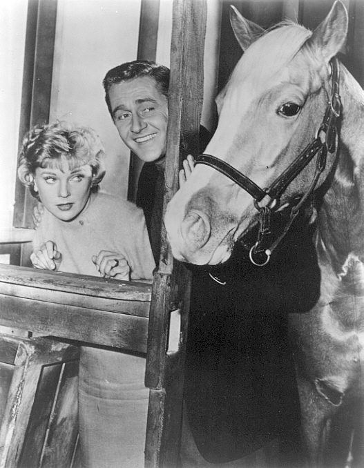 Mister Ed Mister Ed