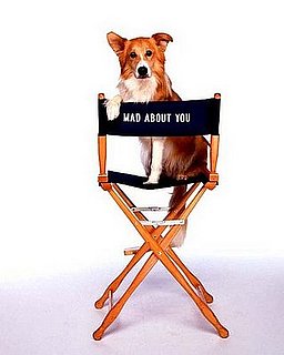 Reader's Choice Recap: Your Fave Small Screen Animal Stars