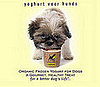 New Product Alert! Yöghund's Latest Flavor