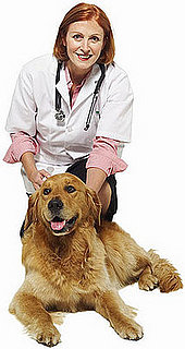Top 10 Reasons Pets Go to Vets Revealed