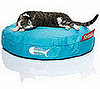 Pampered Pals: Fatboy Catbags