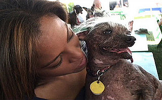 Ugly Dog Archie Shares Sunscreen Tips For Pets