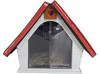This (New) Home: Cool Pet House