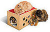 Kitty Bunkbed and Playroom: Spoiled Sweet or Spoiled Rotten?
