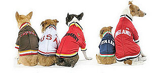 Let Your Sporty Pet Support the Euro 2008 Final in Style!