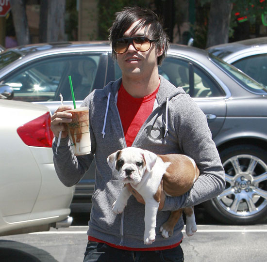 In the Spotlight: All Eyes on Rigby (and Pete Wentz)! In the Spotlight: All Eyes on Rigby (and Pete Wentz)!