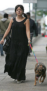 New Doggy Alert! Lily Allen's Rescued Pup