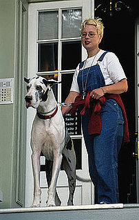 Do Tell: Renting With Pets?