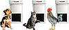 Does Your Dog or Cat (or Chicken) Need a Pet Doorway?