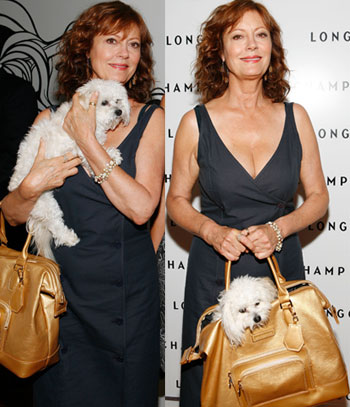 Celeb Redo: A Better Doggie Bag For Susan Sarandon