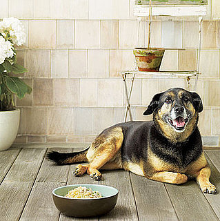 Doggie Tuna Casserole . . . It's What's for Dinner