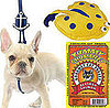 Pet's August Must Haves