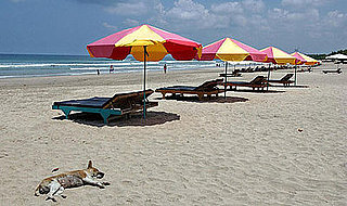 Dog Days of Summer: Who's at Risk of Sunburn?
