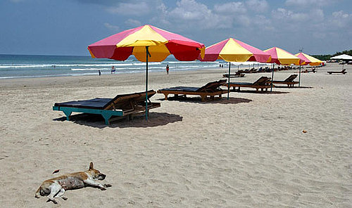 Dog Days of Summer: Who's at Risk of Sunburn?