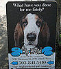 Shop Spotlight: Portland's The Hip Hound