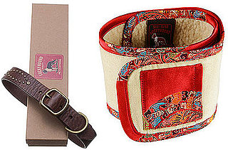Sale Alert For Pet Supplies From Lucky Brand Jeans — 50 Percent Off!