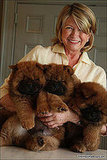 The Scoop: Martha Still Hasn't Picked Her Next Chow The Scoop: Martha Still Hasn't Picked Her Next Chow