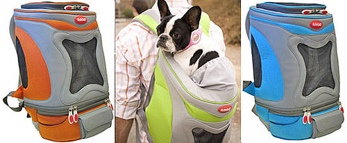 Pampered Pals: Action Petpack If You're Action Packed