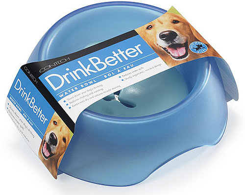 Dogs Drink Better (and Slower) With DrinkBetter Bowls