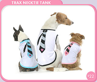 Come PetMarking With Me: Doggies Back-to-School Duds