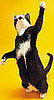 What Do You Know About Kitty Paws and Claws?