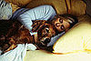 Where on the Bed Do Your Pets Sleep?