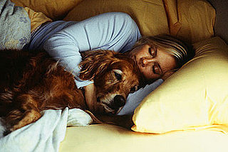 Where on the Bed Do Your Pets Sleep?