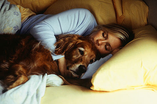 Where on the Bed Do Your Pets Sleep?
