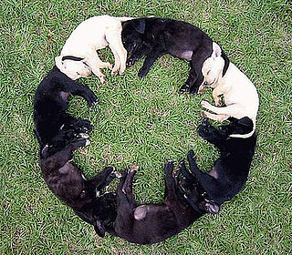Too Cute for Words!