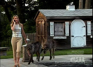 Surprise Furry Cameos on Gossip Girl!