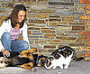 Do Tell: Fast Friends or Fighting Like Cats and Dogs?