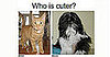 Play "Which Pet Is Cuter?"... and Win!