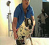Furry Fashion Show Behind-the-Scenes: In the LINK of an Eye!