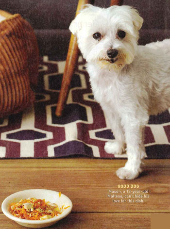 Pet-Friendly Recipe from October's Every Day With Rachael Ray Magazine