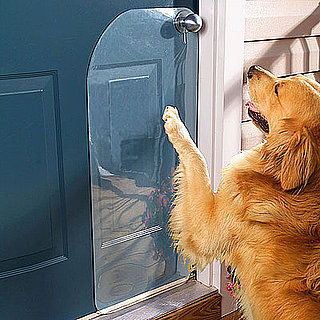 Scratch Protector Saves Doors From Dogs' Claws