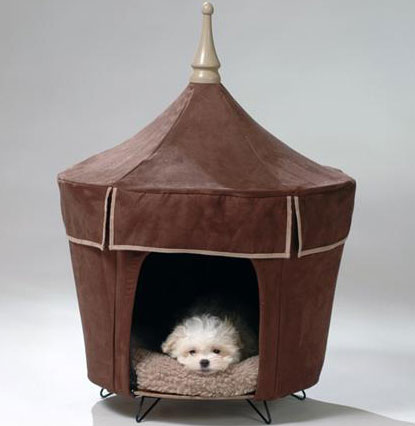 Pet Tent: Spoiled Sweet or Spoiled Rotten?