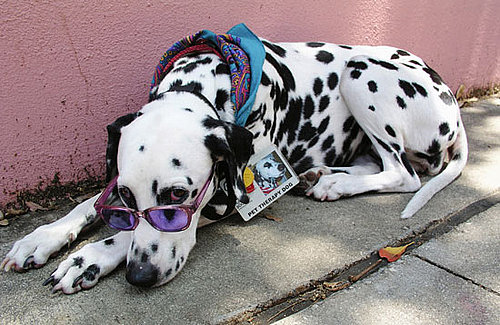 Too Cute For Words! 