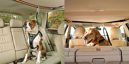 Pampered Pals: Zip Line Dog Car Harnesses