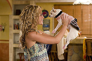 Behind-the-Scenes: Chloe's Beverly Hills Chihuahua Wardrobe