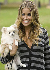 In the Spotlight: Celebs (and Pets) Come Bark For The Cure In the Spotlight: Celebs (and Pets) Come Bark For The Cure