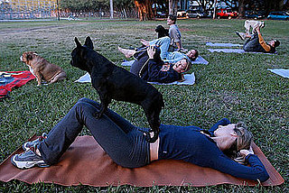 Do Tell: What's Your Favorite Workout With Furry Friends?